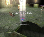 2008-06-18_16-44-08.jpg
